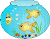 poissons nageant dans un aquarium