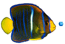 Poisson animé avec bulles d air
