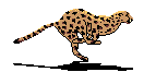 jaguar courant